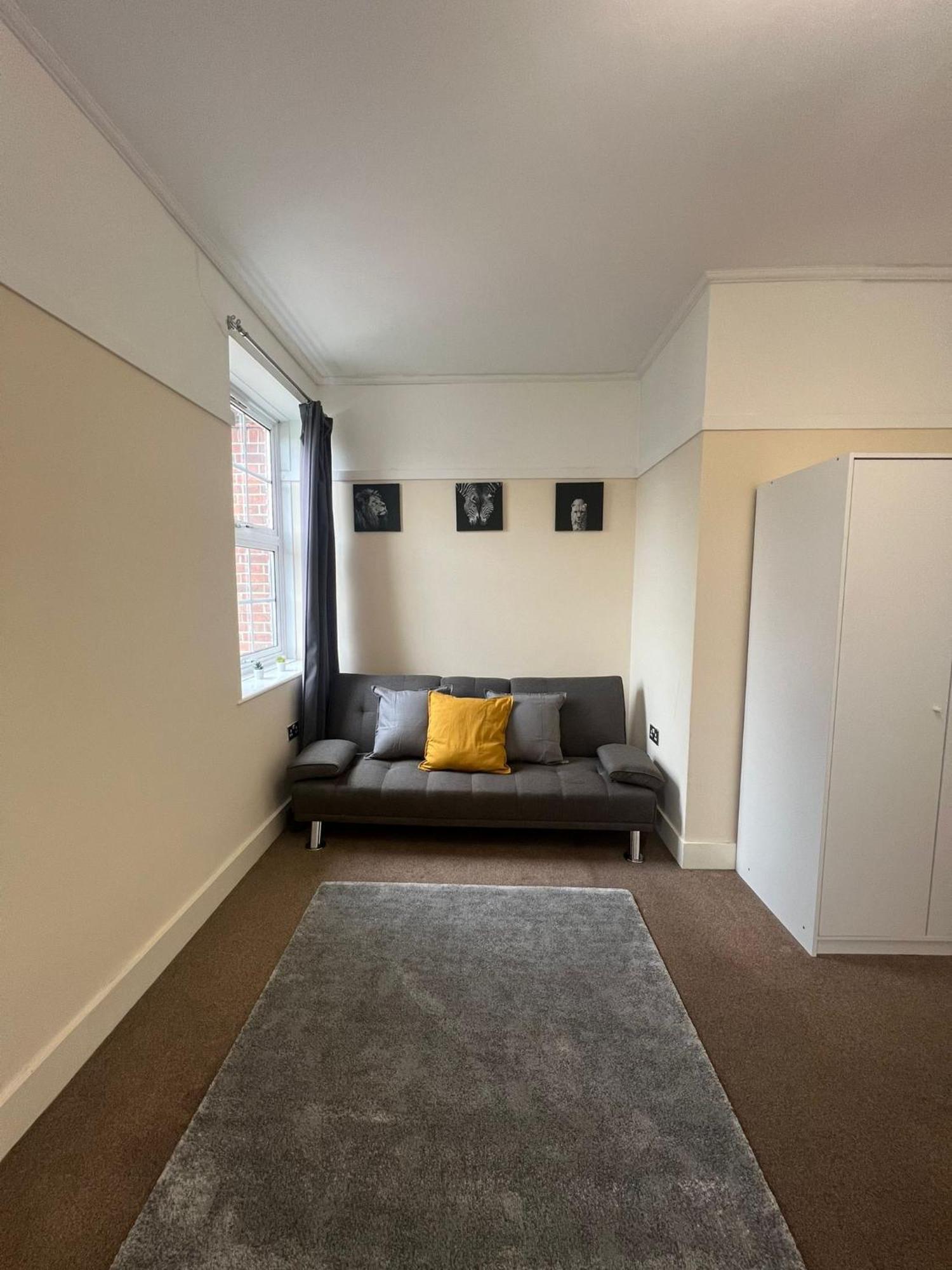 Stunning Wembley Stadium Flat Homestay London